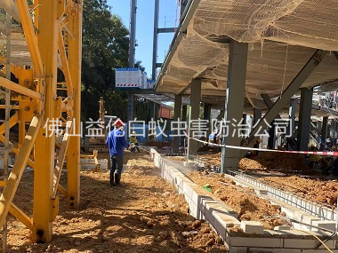 高明建房工程防白蚁