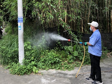 顺德除四害机构如何做好绿化带蚊蝇防治工作