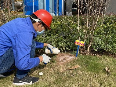 佛山红火蚁灭治机构红火蚁的危害及防治