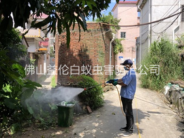 南海区村庄灭蚊预防“两热”工程